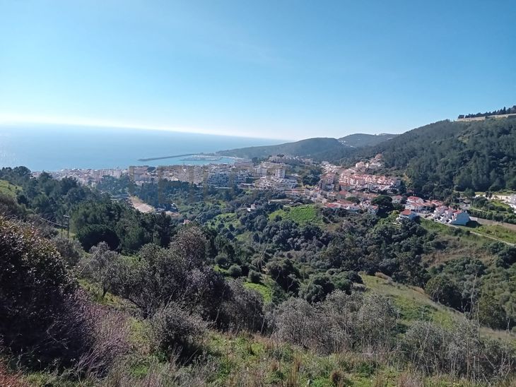 Terreno c/ 3,5 hectares · Sesimbra