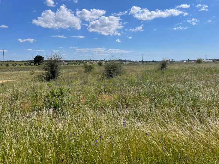 Quinta com 5,9 hectares · Palmela