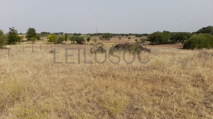 Lote para Construção · Redondo, Évora