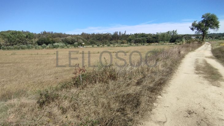 Terreno · Almagreira, Pombal