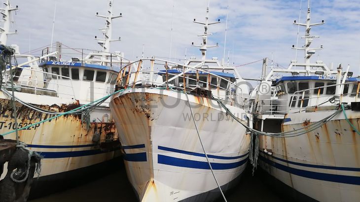 Atuneiro ALBACARES III  - Longliner ALBACARES III