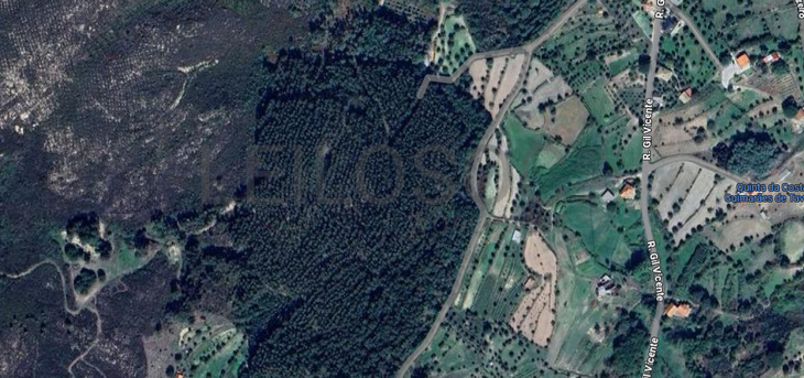 Terreno com 8.750 m² · Mangualde