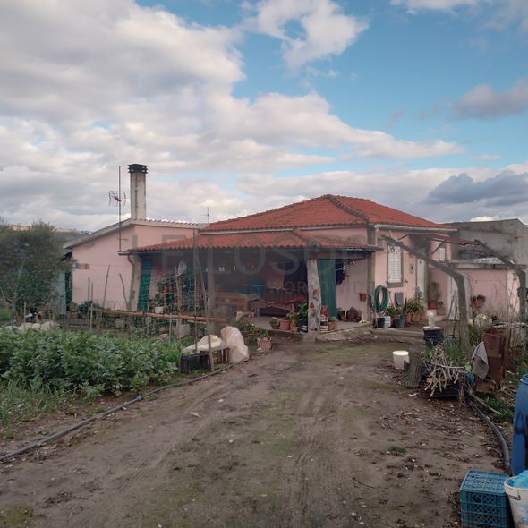 Quinhão Hereditário · Lamego e Tarouca