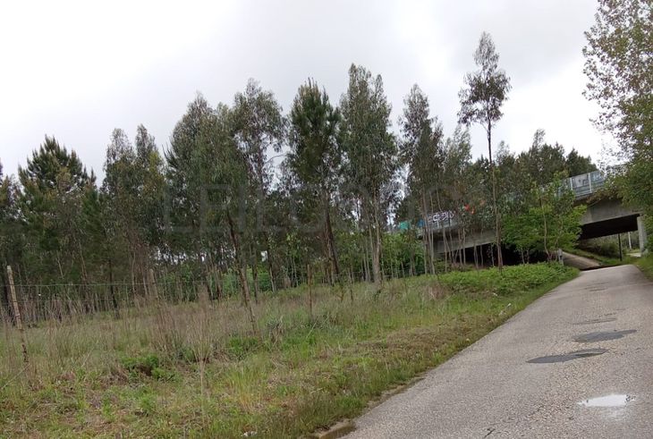 Terreno com 11.245 m² · Oliveira do Bairro