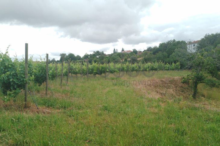 Proporção de 3/5 de Terreno com +2 hectares · Barcelos