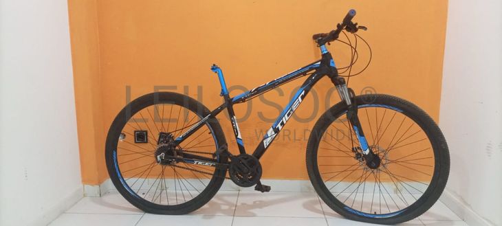 Bicicleta Lucky Tiger 