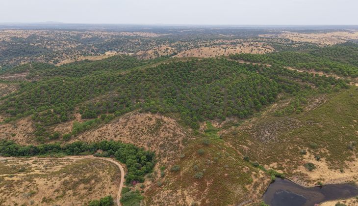 Herdade do Topo · "Monte da Janeila" · 210 hectares · Serpa