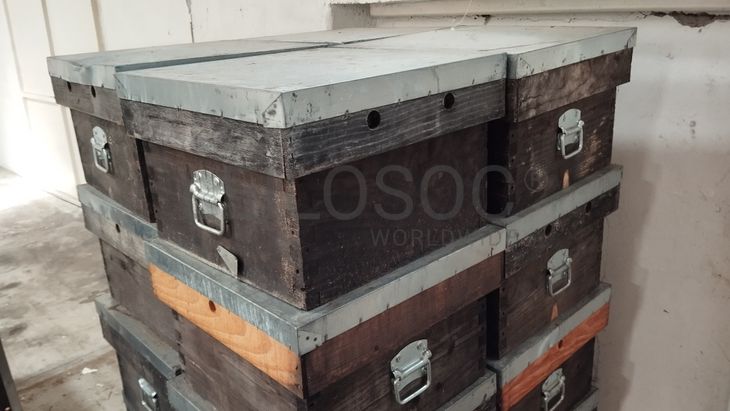 Caixas de Ninho