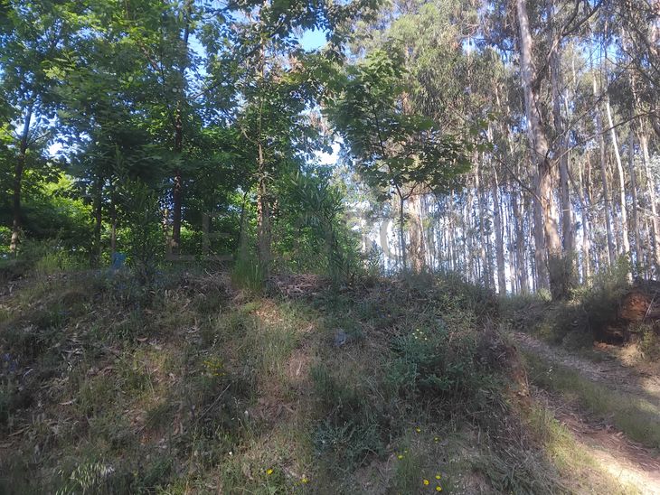Terreno com 750 m² · Águeda