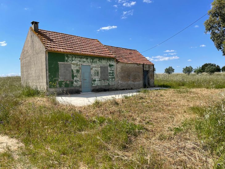 Quinta com 5,9 hectares · Palmela