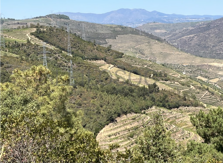 Terreno com 49.470 m² · Vila Seca, Viseu