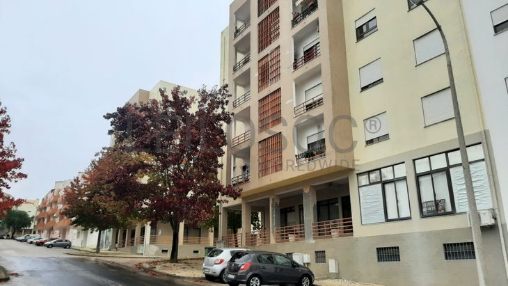 Loja · Torres Novas, Santarém