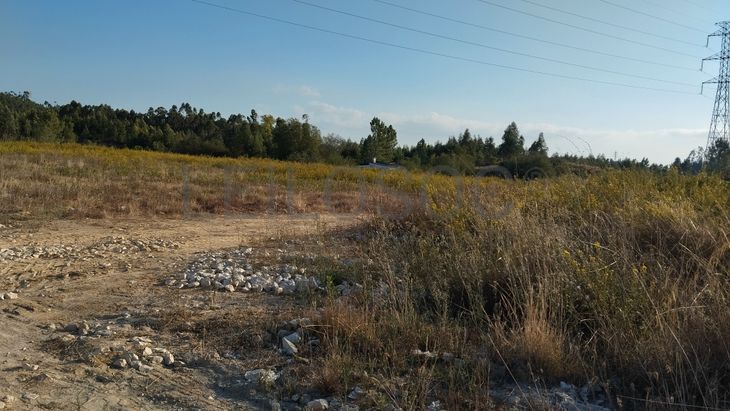 Proporção 1/3 de Terreno · Asseiceira, Tomar