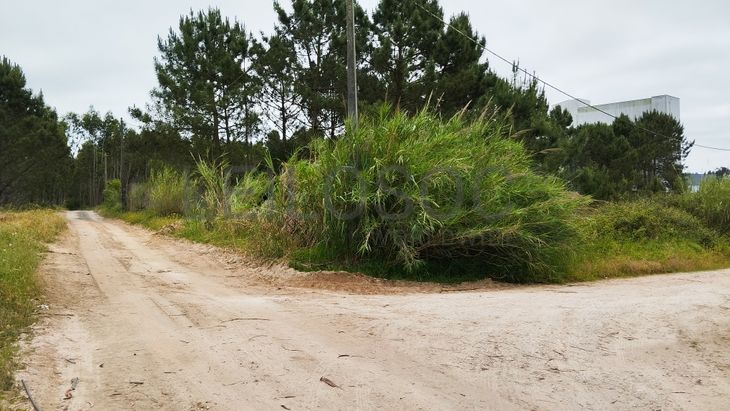 Lote de Terreno para Construção · Gaeiras, Óbidos