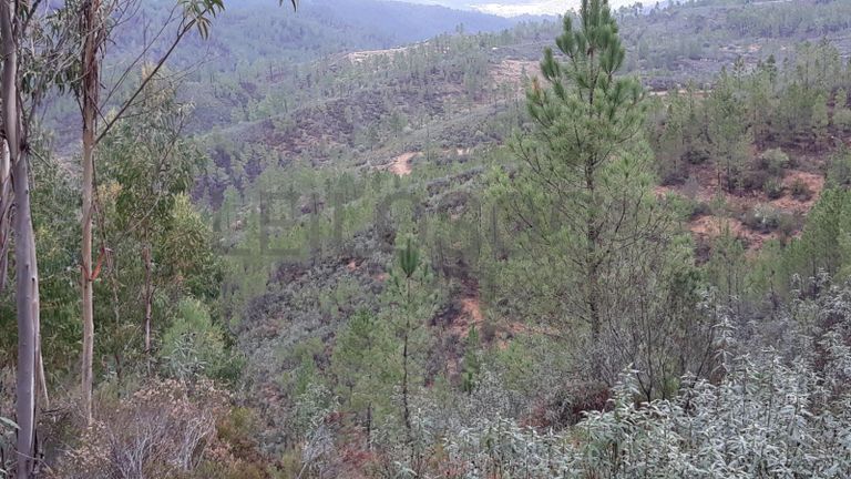 Terreno · Vila Velha de Ródão - Castelo Branco
