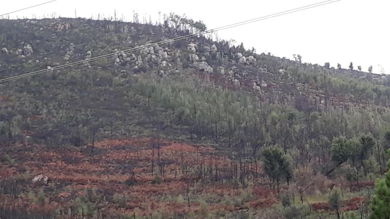 Terreno · Vila Velha de Ródão - Castelo Branco