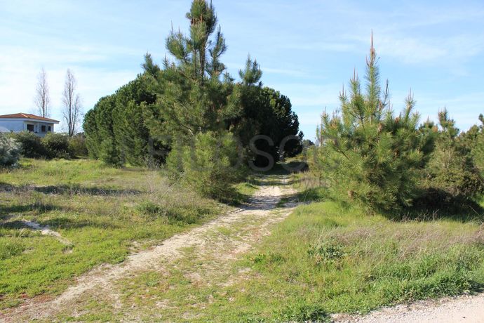 Proporção de Terreno · Palmela