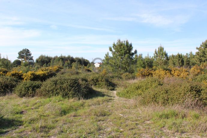 Proporção de Terreno · Palmela