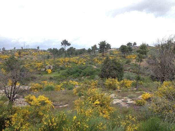 Quinhão Hereditário · Terrenos/Moradia · Valpaços