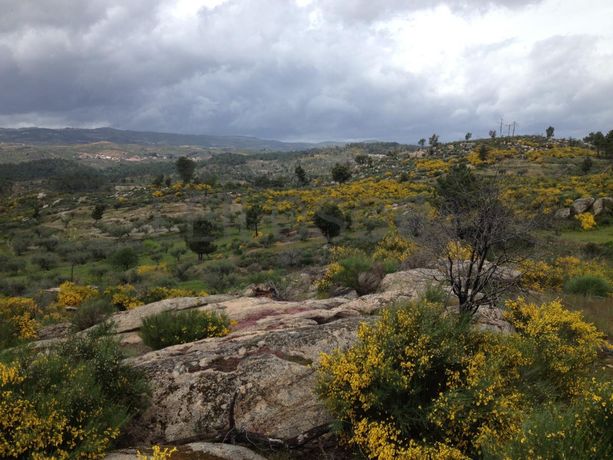 Quinhão Hereditário · Terrenos/Moradia · Valpaços