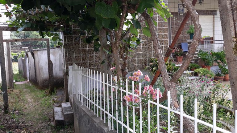 Meação de Moradia · Pombal