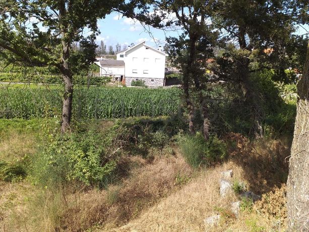 Terrenos · Campia, Vouzela