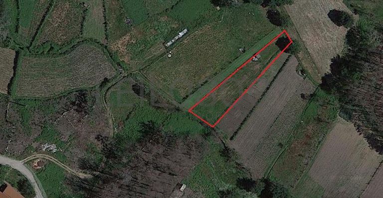 Terrenos · Campia, Vouzela