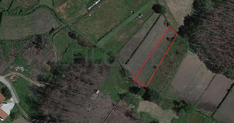 Terrenos · Campia, Vouzela