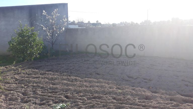 Moradia V2 · Castelo Branco