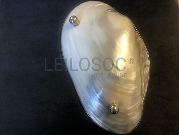 Lote 06 - Verbas 224 a 305