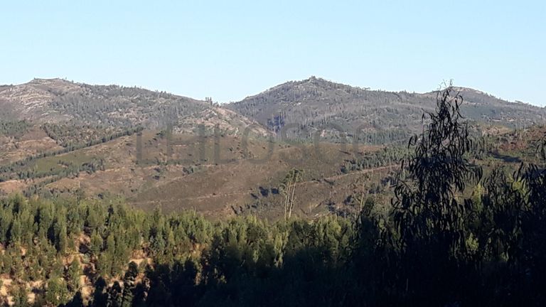 Terreno · Ferreira do Zêzere