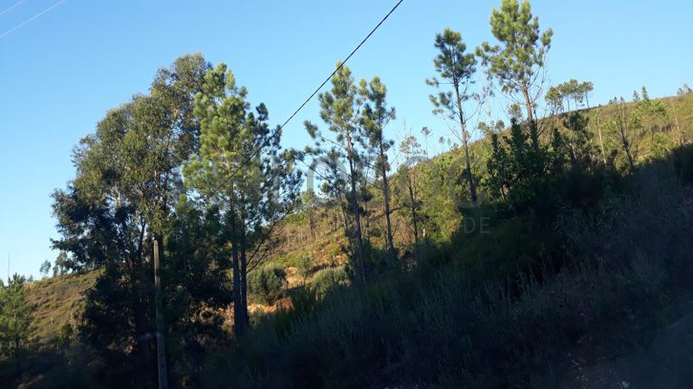 Terreno · Ferreira do Zêzere