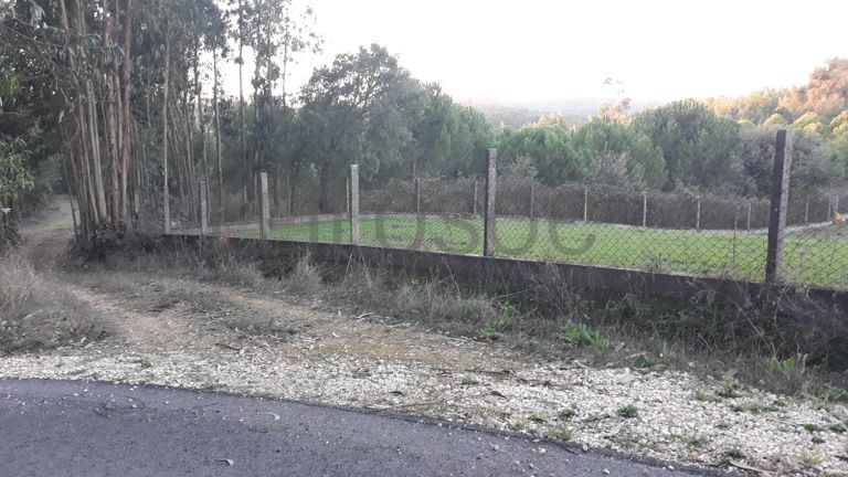 Terreno com 1,3ha · Tomar
