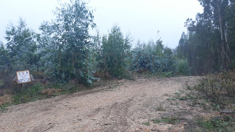 Terreno com 1,3ha · Ferreira do Zêzere