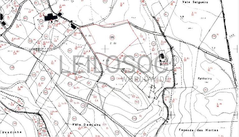 Terreno c/ 1,2ha · Ferreira do Zêzere