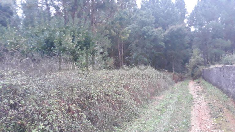 Terreno c/ 1,2ha · Ferreira do Zêzere