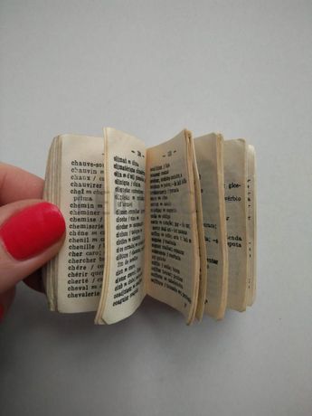 Dictionnaire Lilliput Français - Portugais