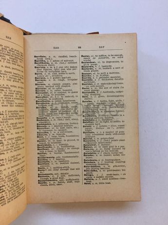 Dicionário Português-Inglês (Edição Escolar)