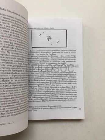 O Caso dos Gémeos Desconhecidos