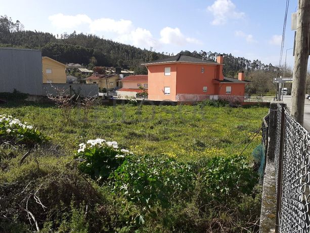 Quinhão Hereditário · Santa Maria da Feira · Portimão