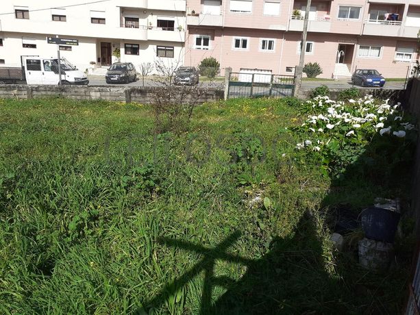 Quinhão Hereditário · Santa Maria da Feira · Portimão