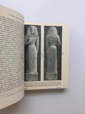 História Social da Arte e da Cultura - Volume I