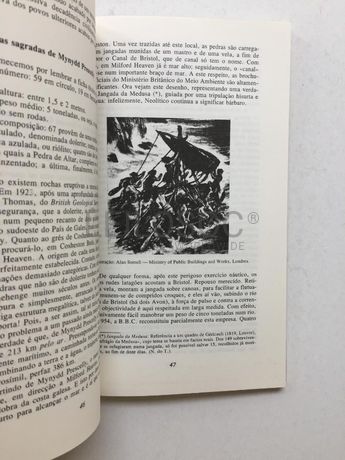 As Pedras e a Escrita