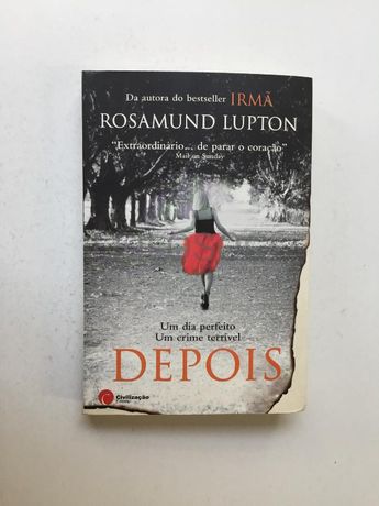 Um Dia Perfeito, Um Crime Terrível Depois