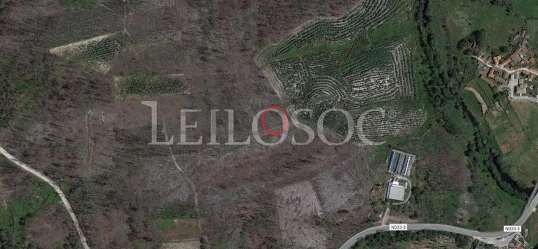 Terrenos · U. F. de Cambra e Carvalhal de Vermilhas, Vouzela