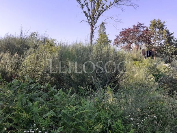 Terrenos · U. F. de Cambra e Carvalhal de Vermilhas, Vouzela