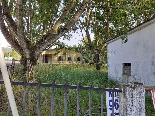 Terrenos · U. F. de Vouzela e Paços de Vilharigues, Vouzela