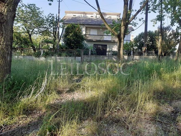 Terrenos · U. F. de Vouzela e Paços de Vilharigues, Vouzela