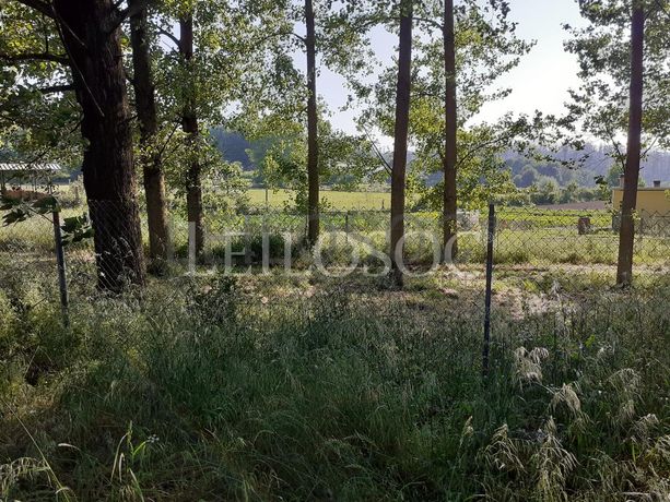Terrenos · U. F. de Vouzela e Paços de Vilharigues, Vouzela