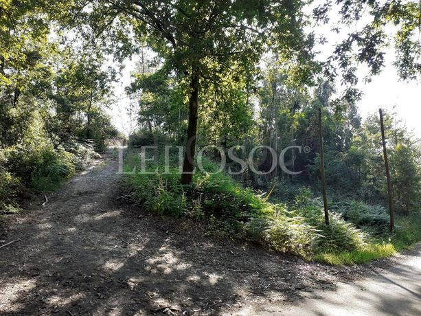 Terrenos · U. F. de Vouzela e Paços de Vilharigues, Vouzela